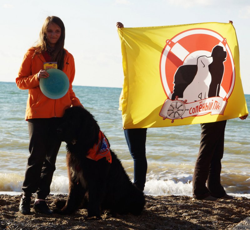 Фотография № 215444