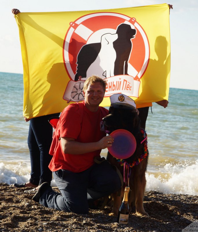 Фотография № 215446