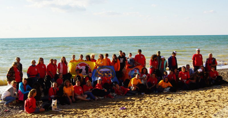 Фотография № 215447