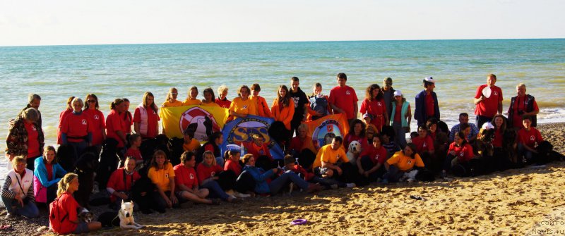 Фотография № 215448