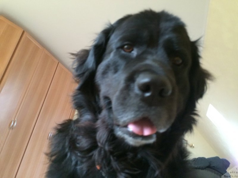 Фотография № 215453