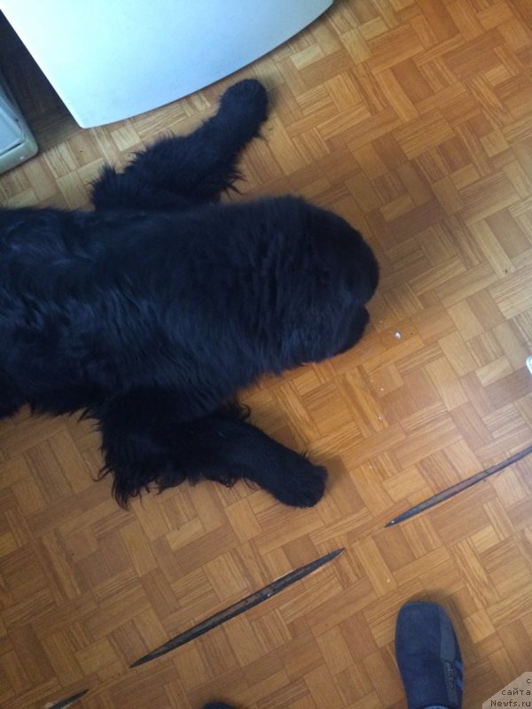 Фотография № 215506