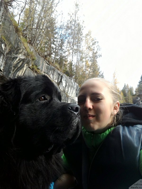 Фотография № 215513