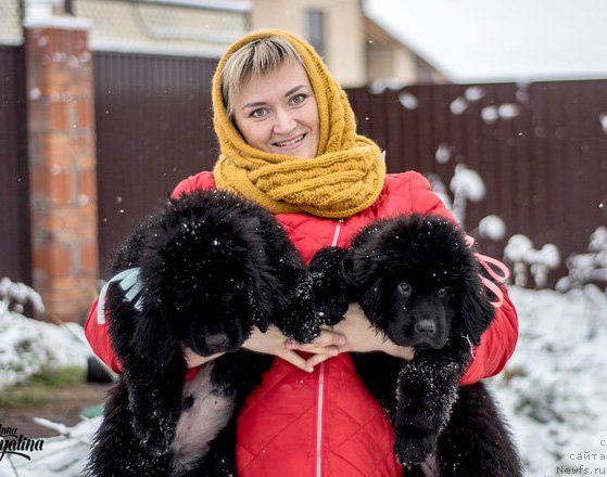 Фото: ньюфаундленд Ceder Magnus iz Plemeni Kedra (Цедер Магнус из Племени Кедра), ньюфаундленд Cintiya iz Plemeni Kedra (Цинтия из Племени Кедра), Elizaveta Pavlova (Елизавета Павлова)