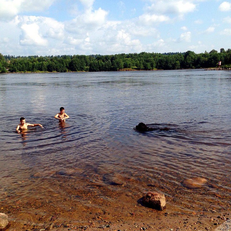 Фотография № 215539