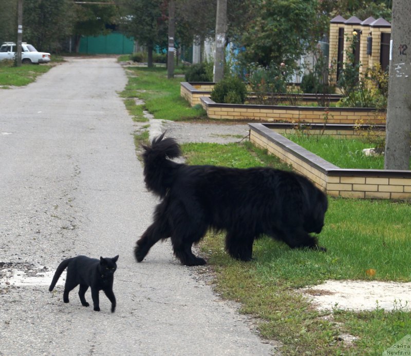 Фотография № 215552