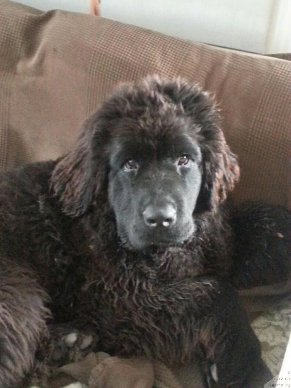 Фотография № 215602