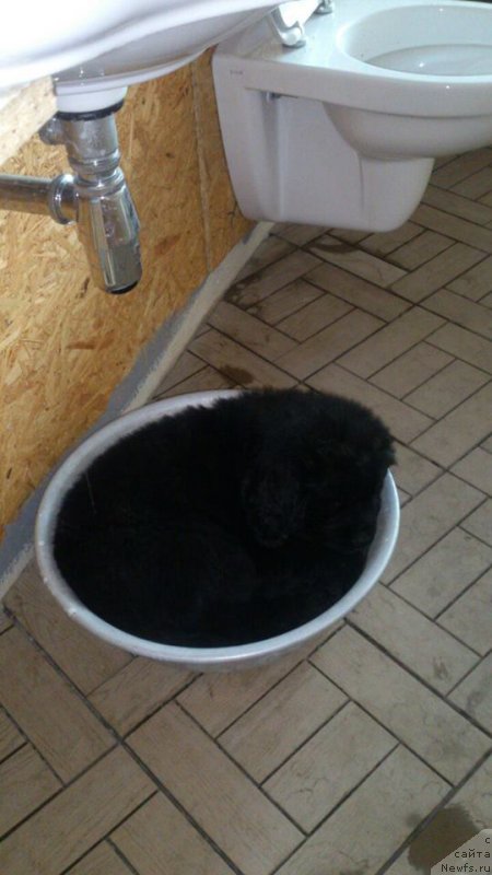 Фотография № 215603