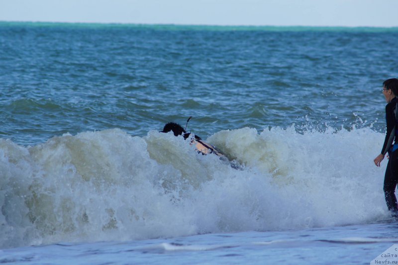 Фотография № 215643