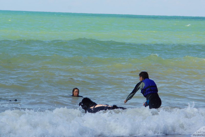 Фотография № 215645