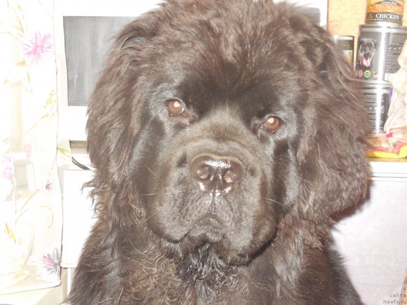 Фотография № 215660