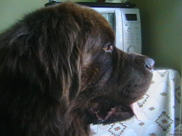 Фото: Ol'ga Lomteva (Ольга Ломтева)