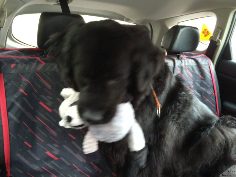 Фотография № 215739