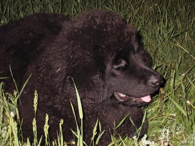 Фото: Ekaterina Lukina (Екатерина Лукина)