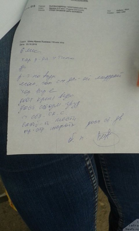 Фотография № 215755