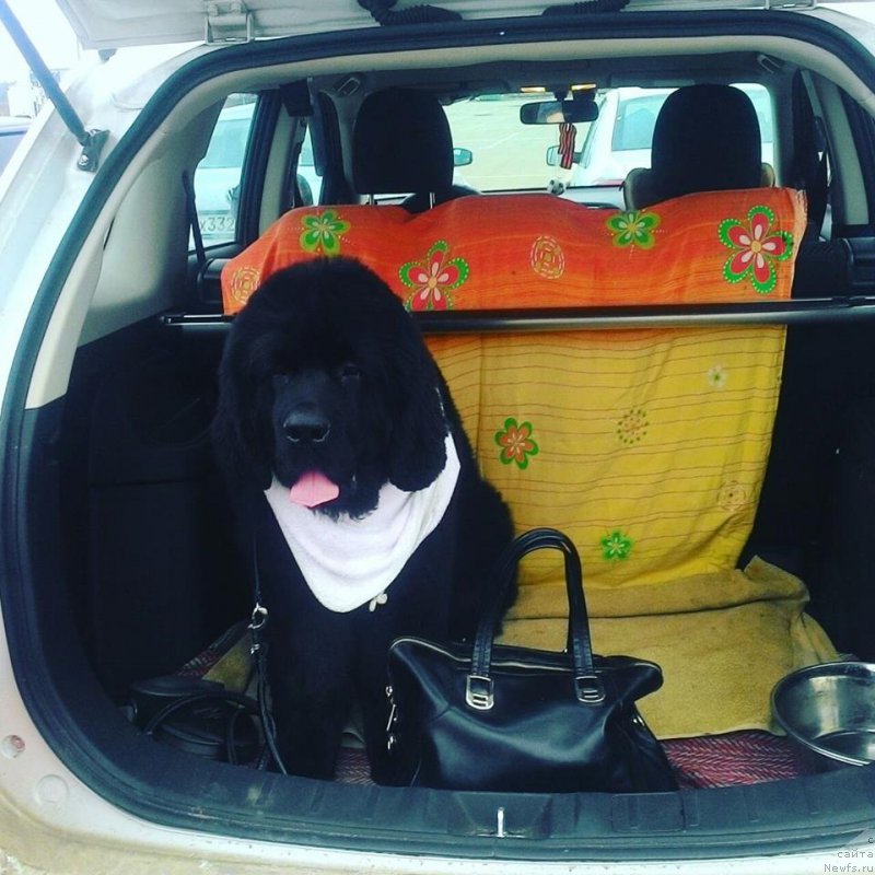 Фотография № 215757