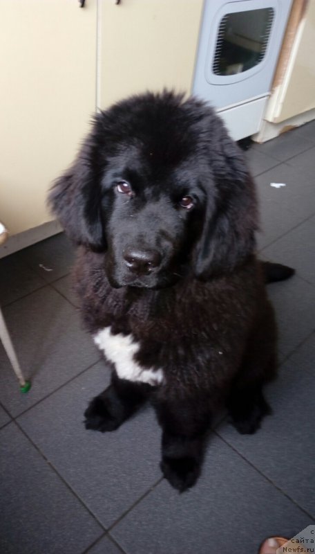 Фотография № 215761