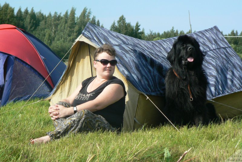 Фото: ньюфаундленд Smigar Ukrotitel'nica Tigrov (Смигар Укротительница Тигров)