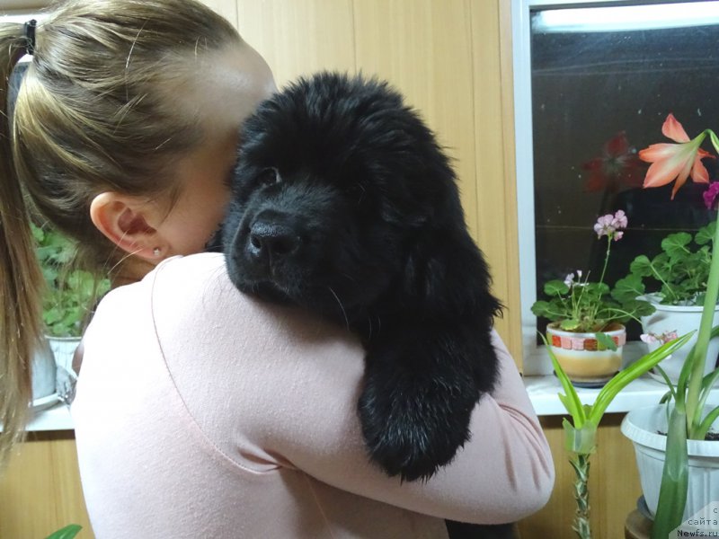 Фотография № 215816