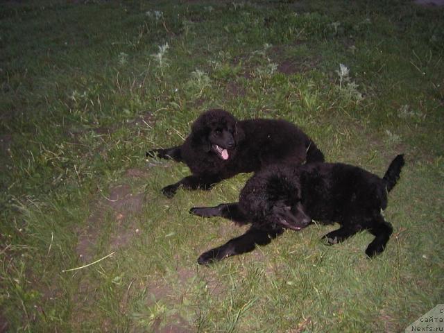 Фото: Ekaterina Lukina (Екатерина Лукина)