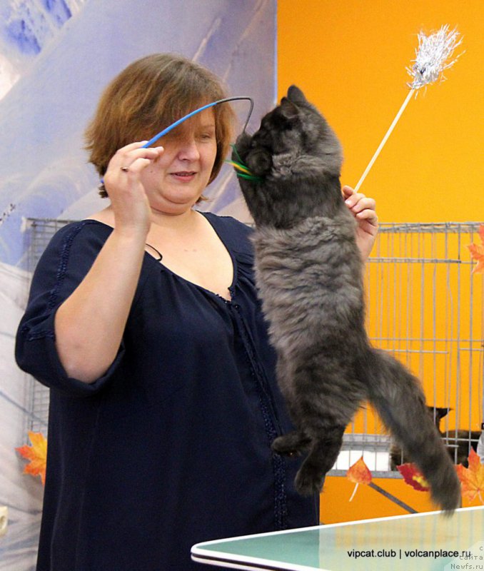 Фотография № 215857