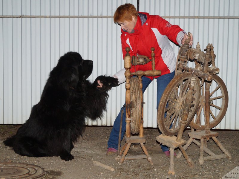 Фотография № 215890