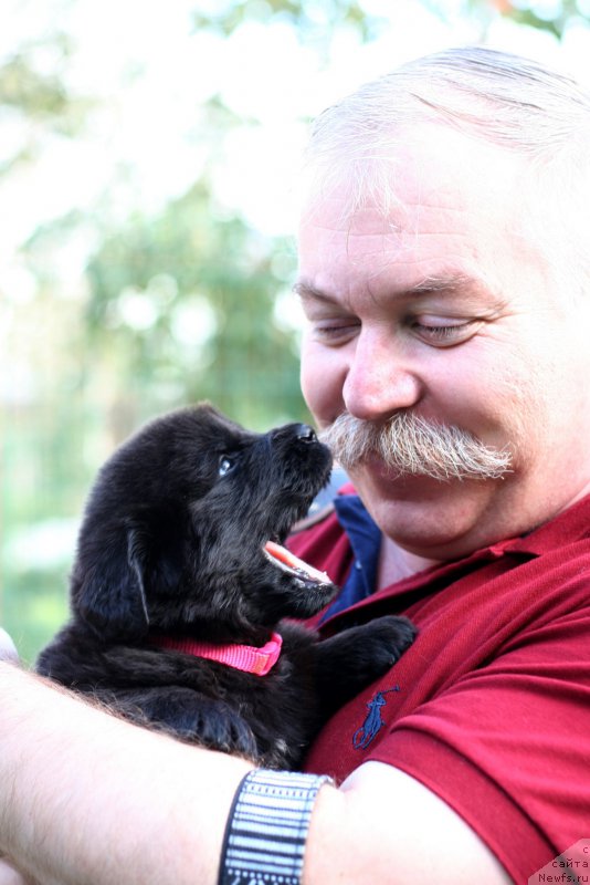 Фотография № 215891