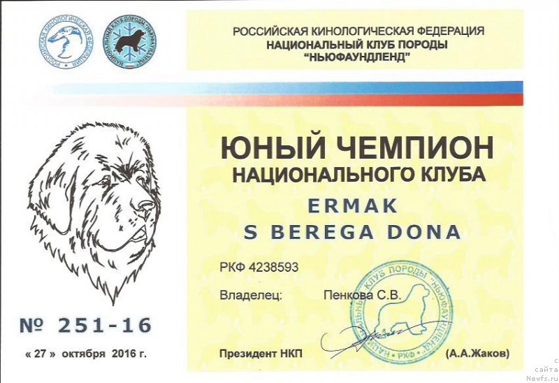 Фото: ньюфаундленд Ermak s Berega Dona (Ермак с Берега Дона)