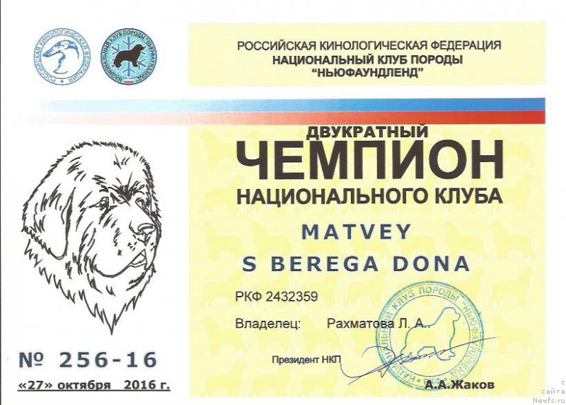 Фото: ньюфаундленд Matvey s Berega Dona (Матвей с Берега Дона)