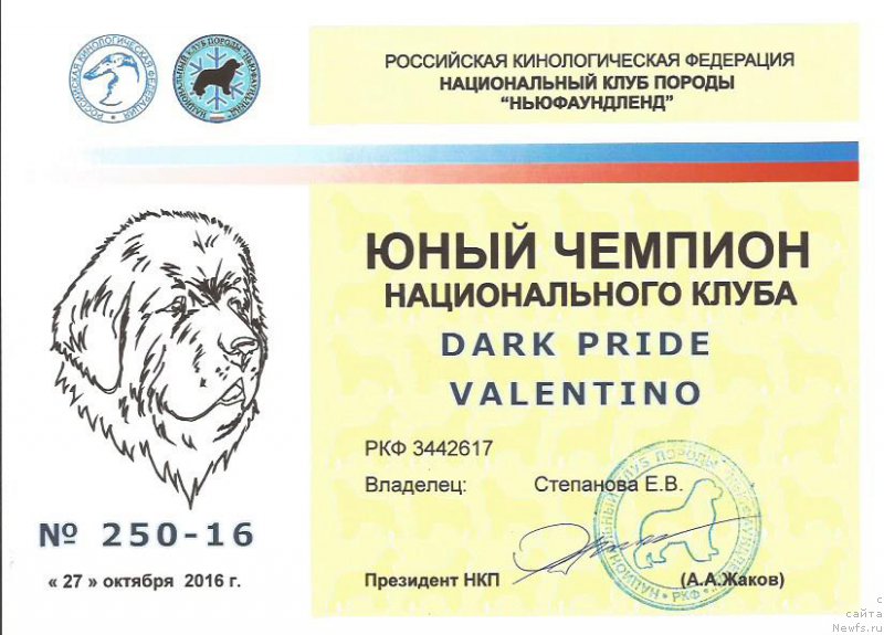 Фотография № 215994