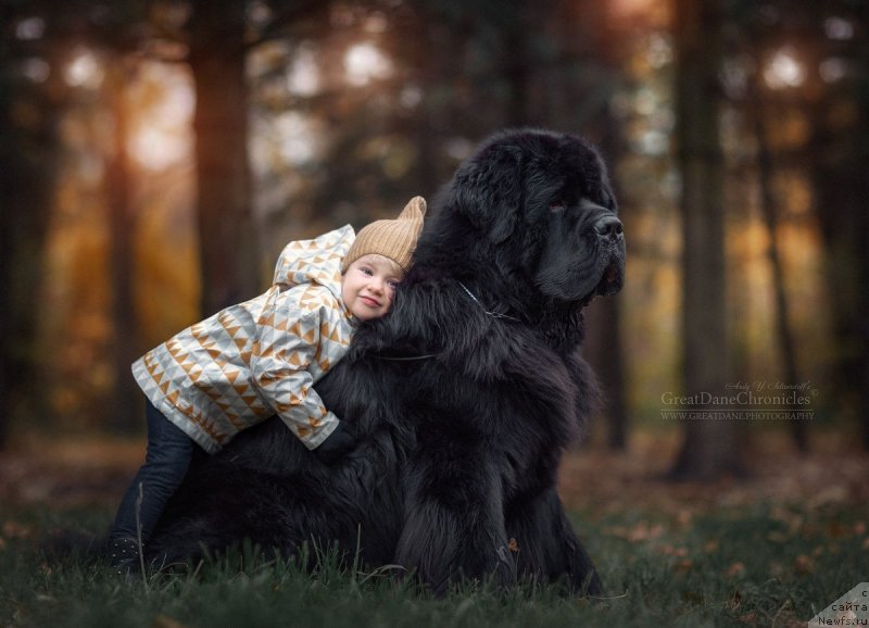 Фотография № 215997