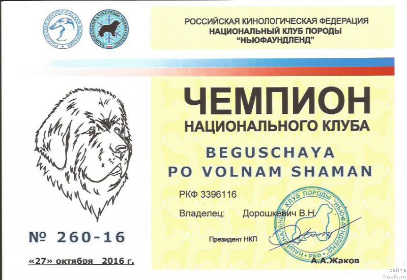 Фотография № 215998