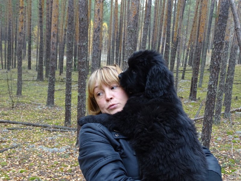 Фотография № 216038