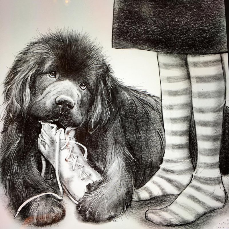 Фотография № 216045