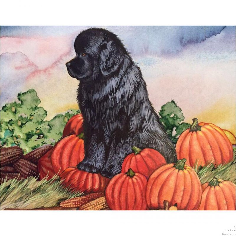 Фотография № 216046