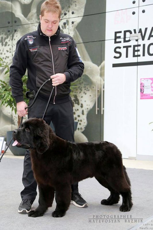 Фотография № 216162