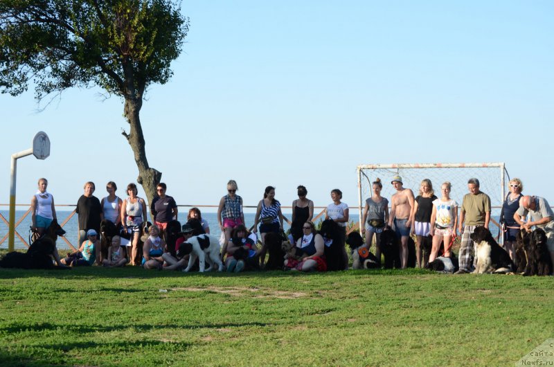 Фотография № 216172