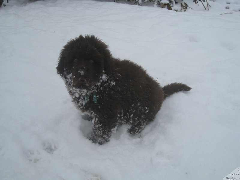 Фотография № 216216