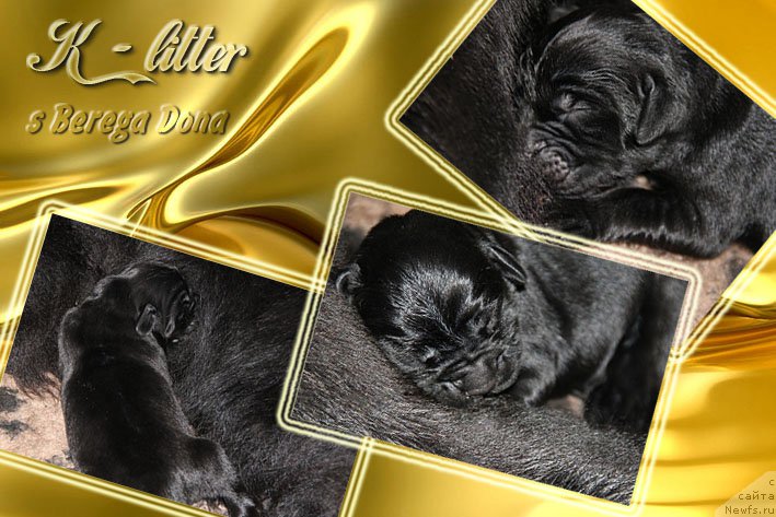 Фотография № 216244