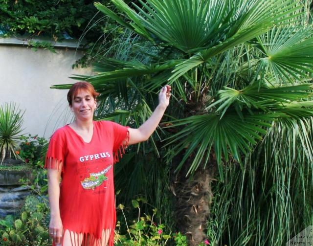 Фотография № 21626