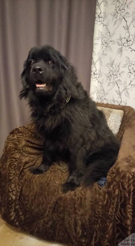 Фотография № 216273