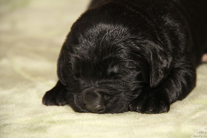 Фотография № 216311