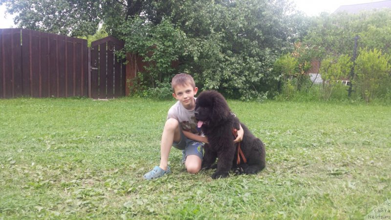 Фото: Vyacheslav Sidyakin (Вячеслав Сидякин)