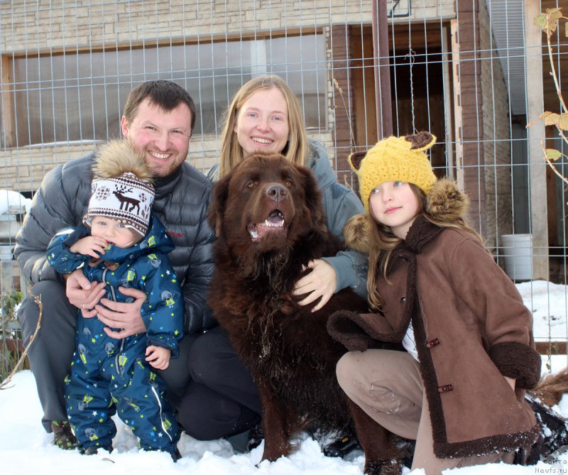 Фото: Aleksandr CHervanyov (Александр Черванёв), ньюфаундленд Chara Hani Les (Чара Хани Лес), Mariya CHervaneva (Мария Черванева)