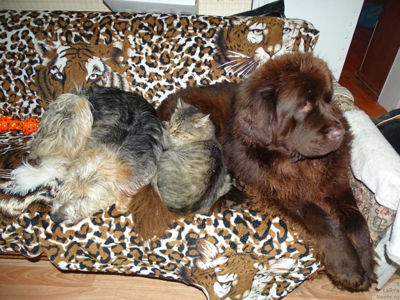 Фотография № 216338