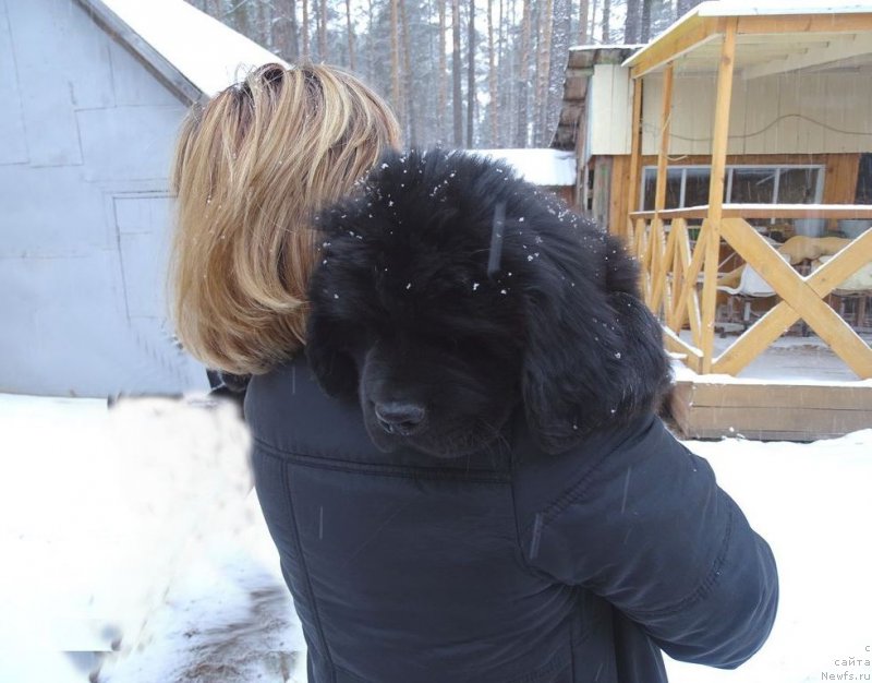 Фотография № 216341