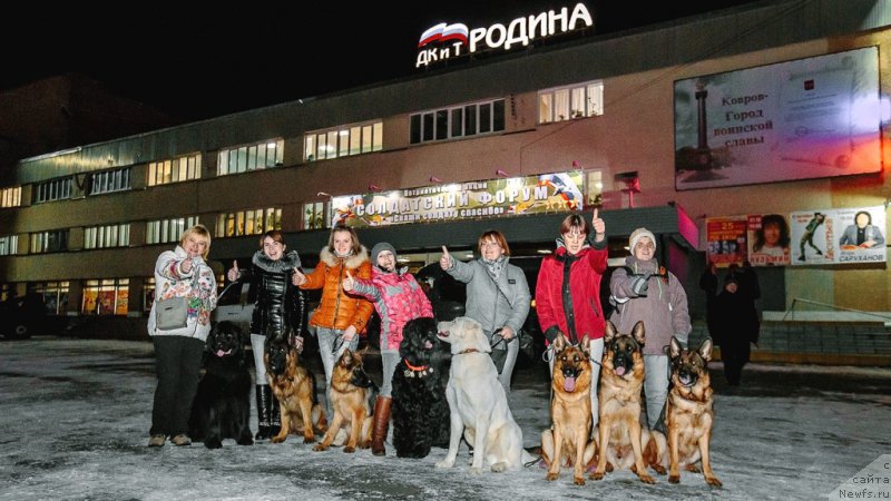 Фото: ньюфаундленд Russkaya Krasavica Nyura (Русская Красавица Нюра)