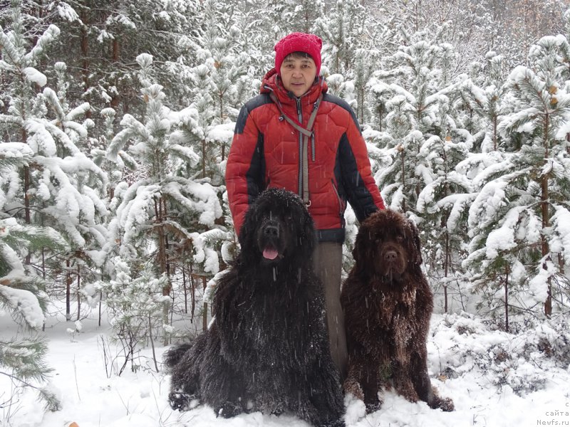 Фотография № 216344