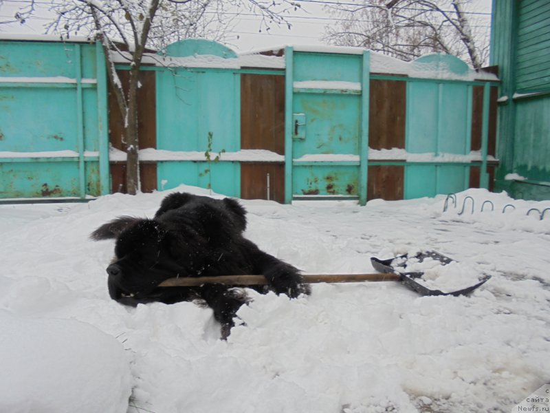 Фотография № 216361