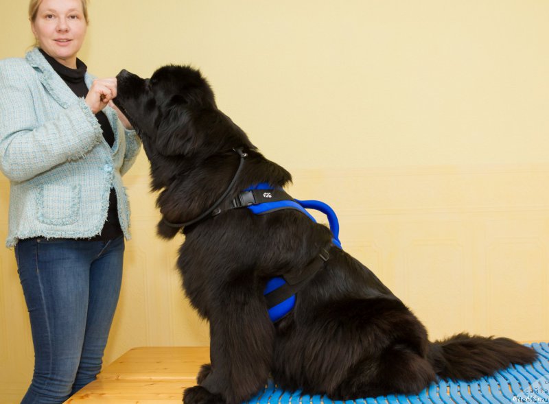 Фотография № 216427